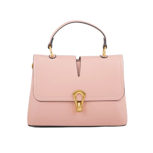 Structured Carry Handbag with Bold Look